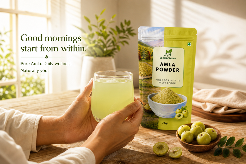 Jain Organic Farms Pure Amla Powder (100g) – Indian Gooseberry Fruit Powder Rich in Natural Plant Nutrients for Digestion, Hair & Skin Wellness | 100% Pure, Chemical-Free, Lab Tested & No Added Sugar