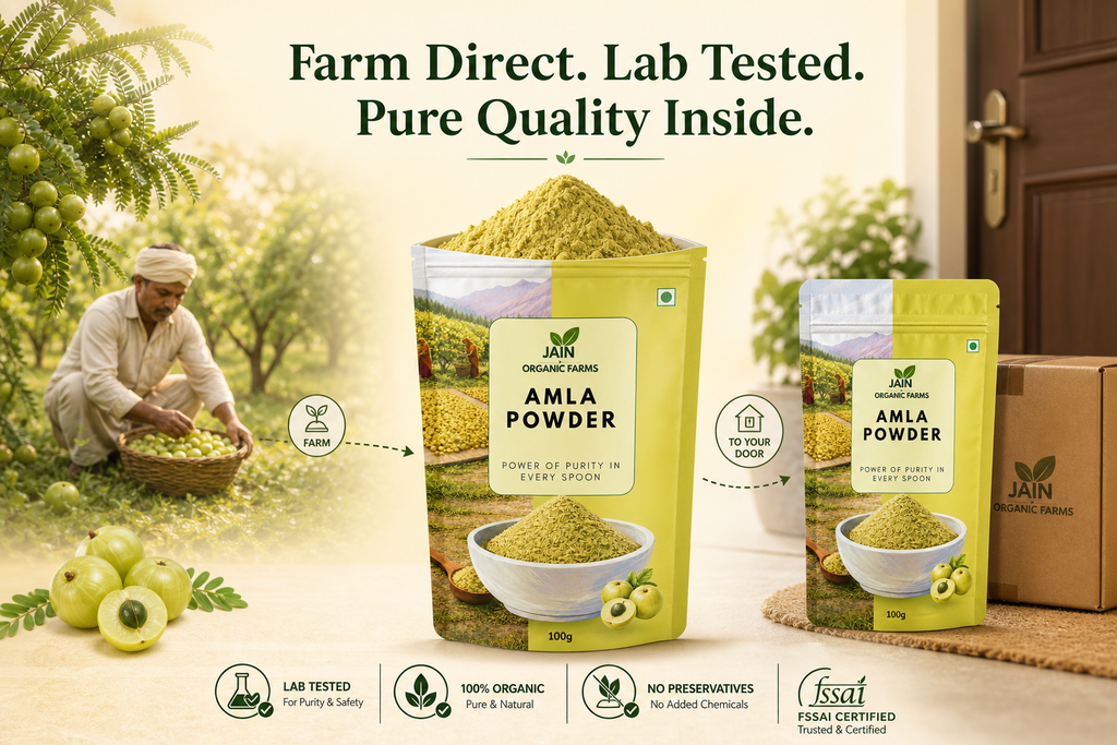Jain Organic Farms Pure Amla Powder (100g) – Indian Gooseberry Fruit Powder Rich in Natural Plant Nutrients for Digestion, Hair & Skin Wellness | 100% Pure, Chemical-Free, Lab Tested & No Added Sugar
