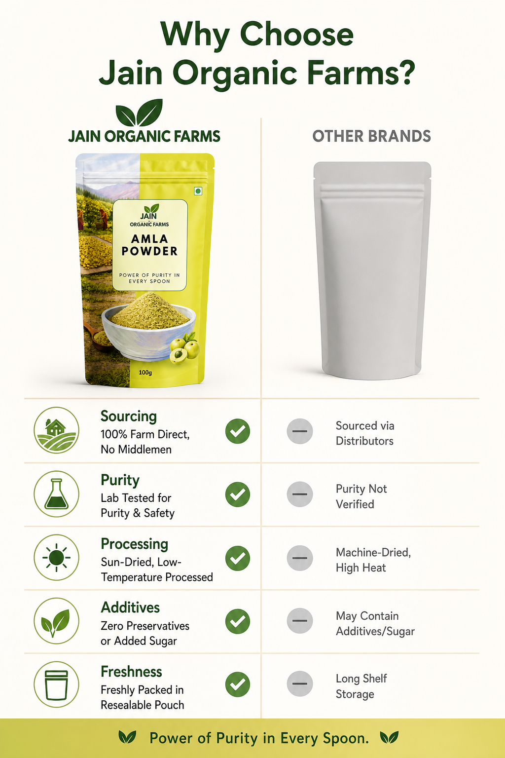 Jain Organic Farms Pure Amla Powder (100g) – Indian Gooseberry Fruit Powder Rich in Natural Plant Nutrients for Digestion, Hair & Skin Wellness | 100% Pure, Chemical-Free, Lab Tested & No Added Sugar