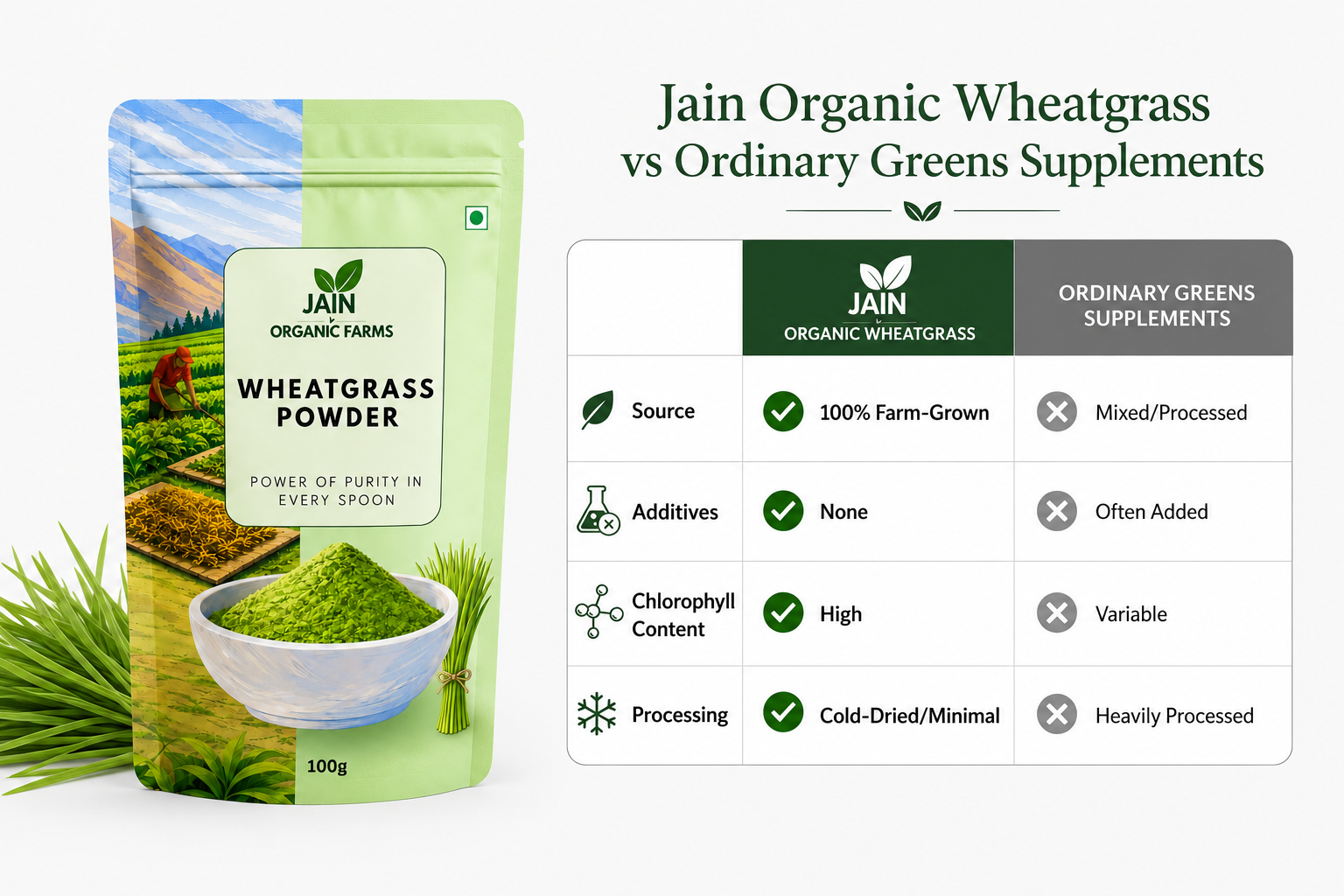 Jain Organic Farms Pure Wheatgrass Powder (100g) – Natural Green Superfood Powder for Daily Nutrition, Energy & Digestive Wellness | 100% Pure, Chemical-Free, Lab Tested & No Added Sugar