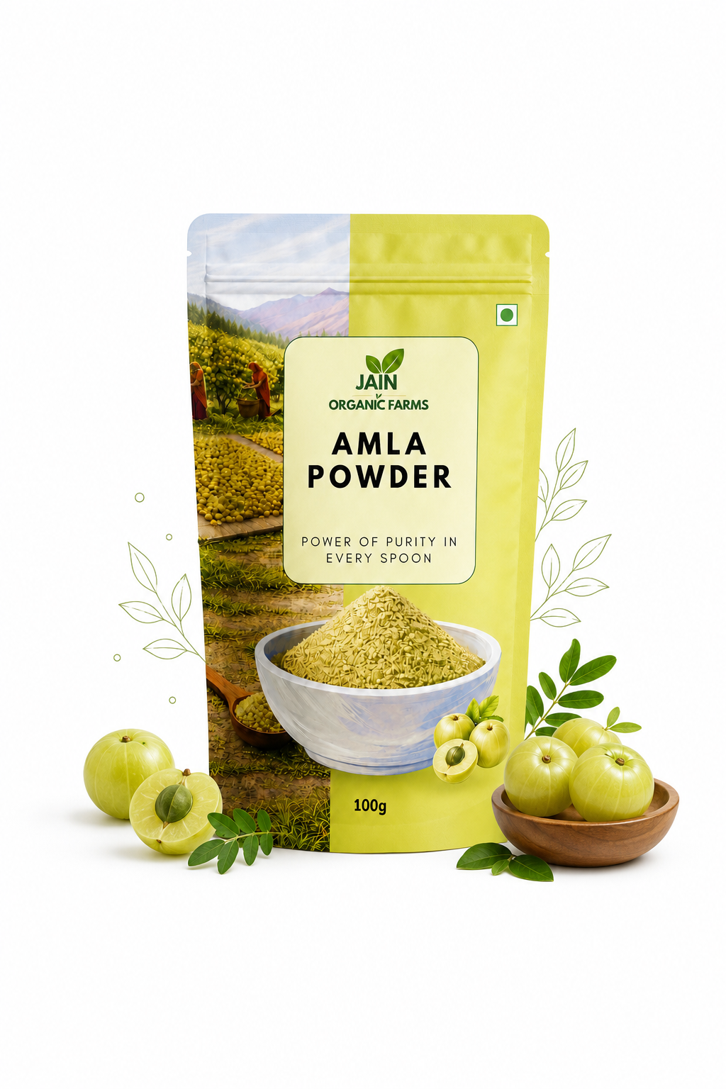 Jain Organic Farms Pure Amla Powder (100g) – Indian Gooseberry Fruit Powder Rich in Natural Plant Nutrients for Digestion, Hair & Skin Wellness | 100% Pure, Chemical-Free, Lab Tested & No Added Sugar