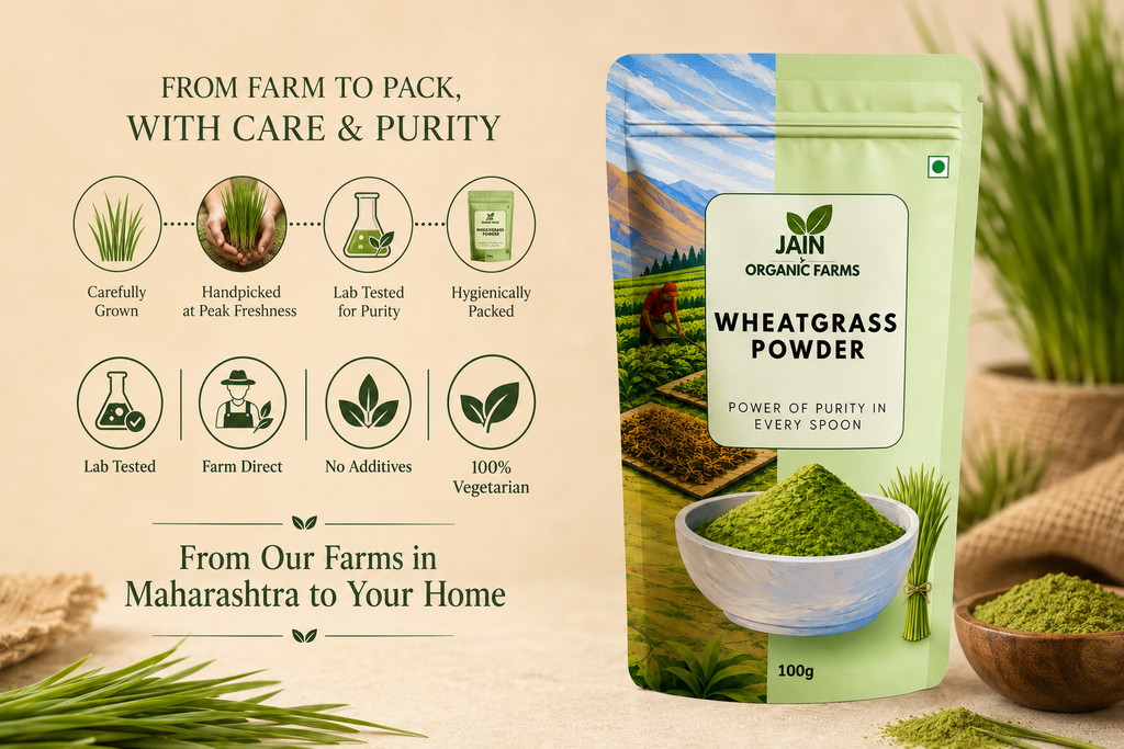 Jain Organic Farms Pure Wheatgrass Powder (100g) – Natural Green Superfood Powder for Daily Nutrition, Energy & Digestive Wellness | 100% Pure, Chemical-Free, Lab Tested & No Added Sugar