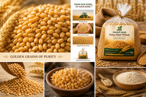 Sona Moti Wheat golden grains purity farm to home collage